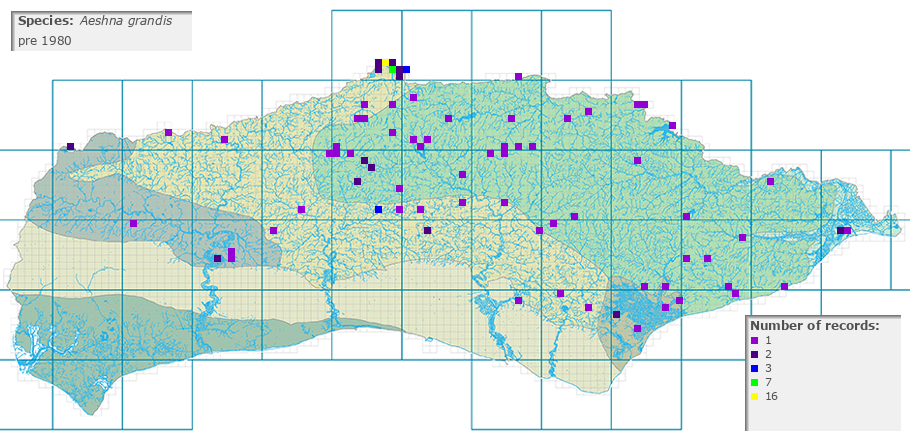 Aeshna grandis distribution pre 1980