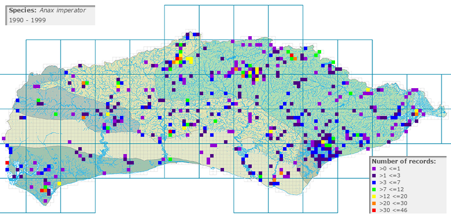 Anax imperator distribution 1990 - 1999