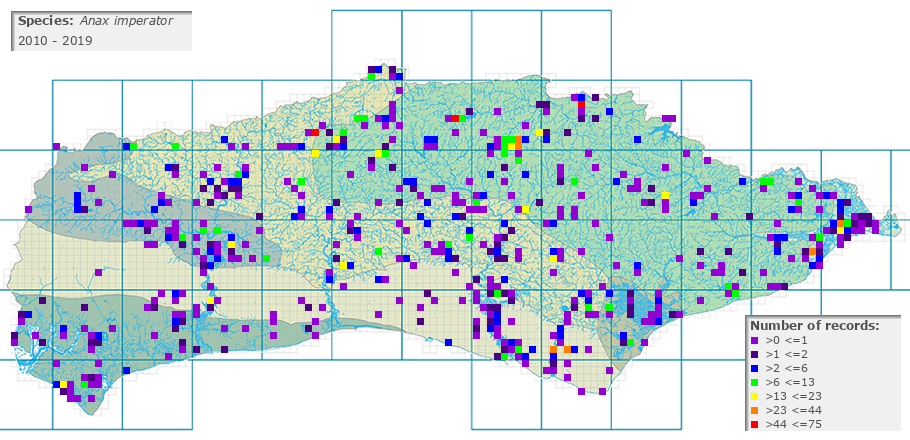 Anax imperator distribution 2010 - 2019