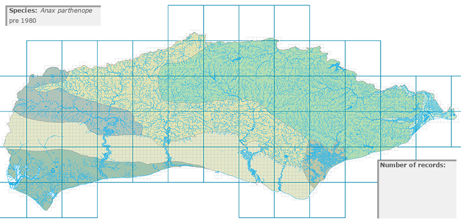 Anax parthenope distribution pre 1980