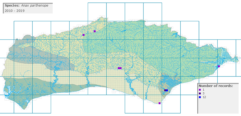 Anax parthenope distribution 2010 - 2019