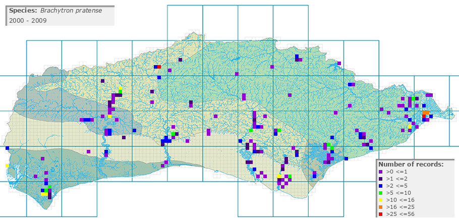Brachytron pratense distribution 2000 - 2009