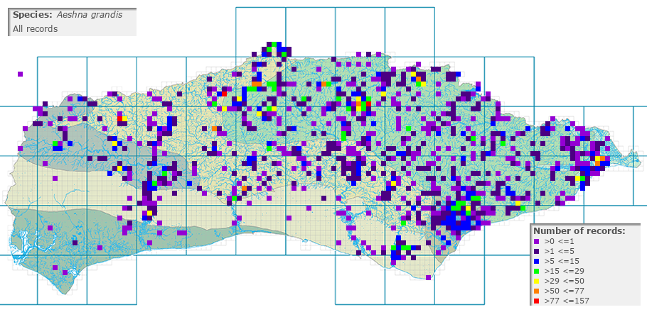 Aeshna grandis distribution (all)
