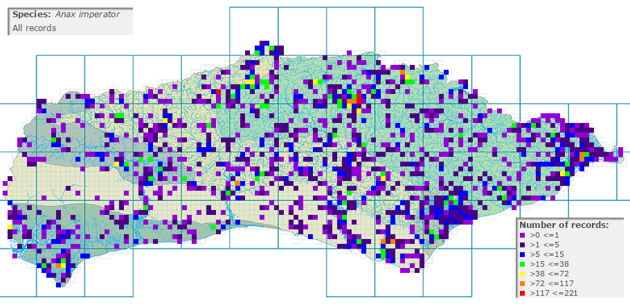 Anax imperator distribution (all)