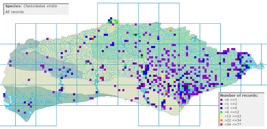 Chalcolestes viridis distribution (all)