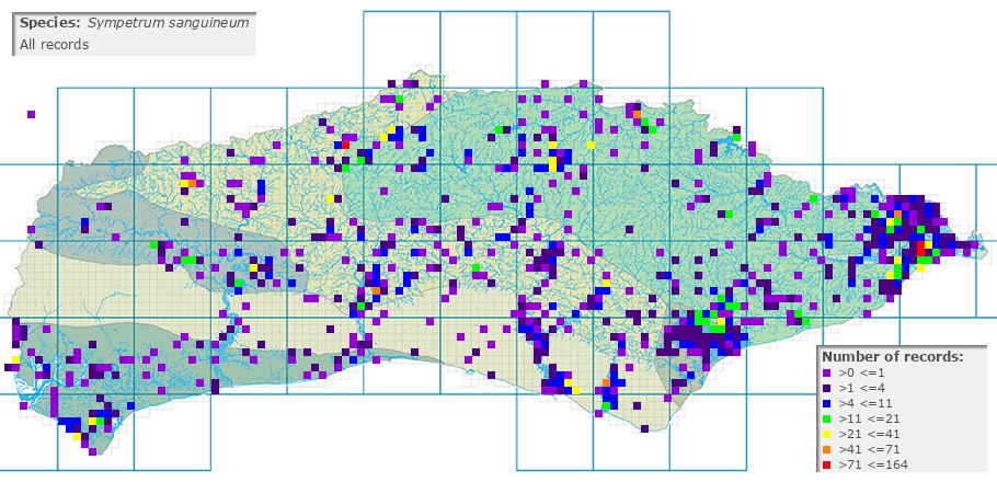 Sympetrum sanguineum distribution (all)