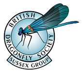 Sussex Dragonfly Group