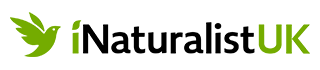 iNaturalist