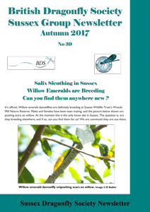 SDS_39_Autumn2017